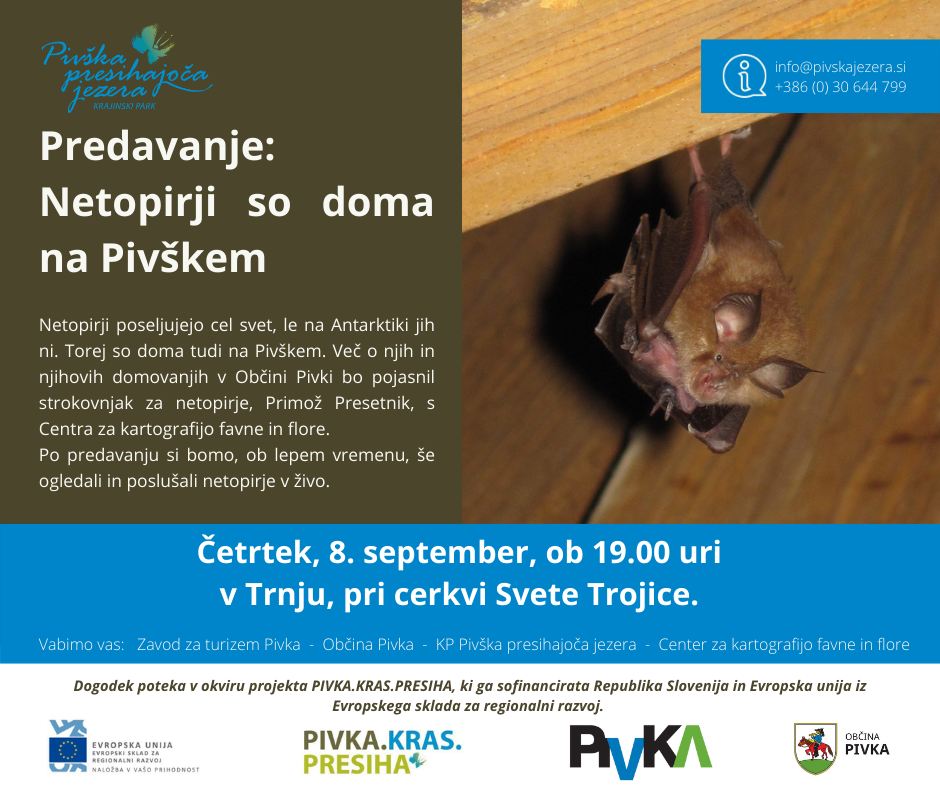 dogodek noč netopirjev - 8. 9. 2022